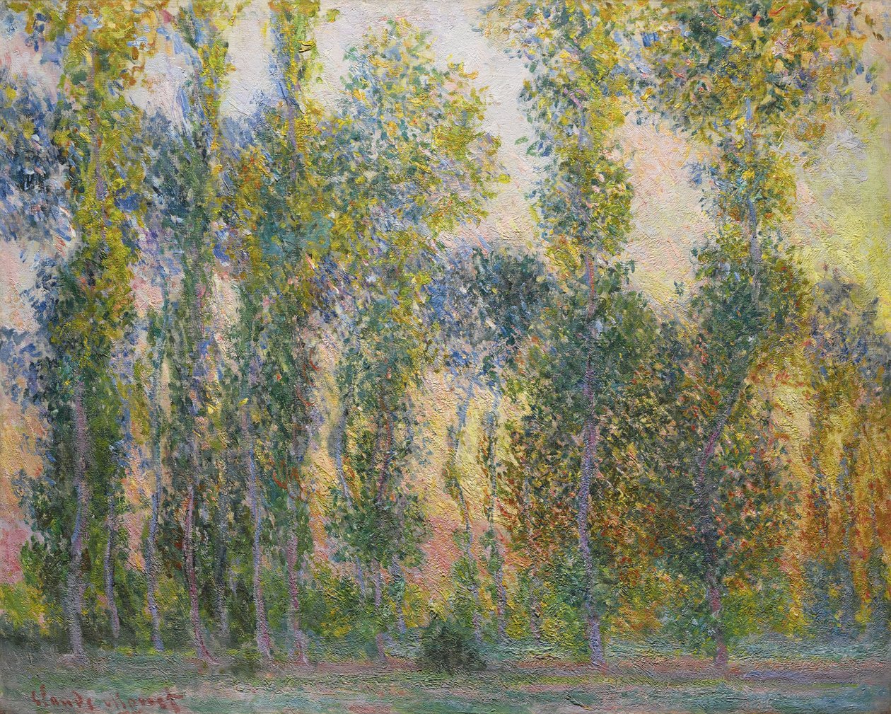 Choupos em Giverny, 1887 de Claude Monet