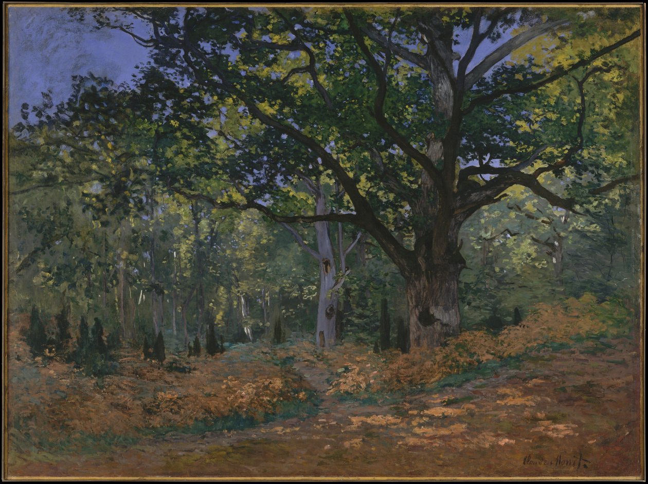 O carvalho de Bodmer, floresta de Fontainebleau, 1865 de Claude Monet
