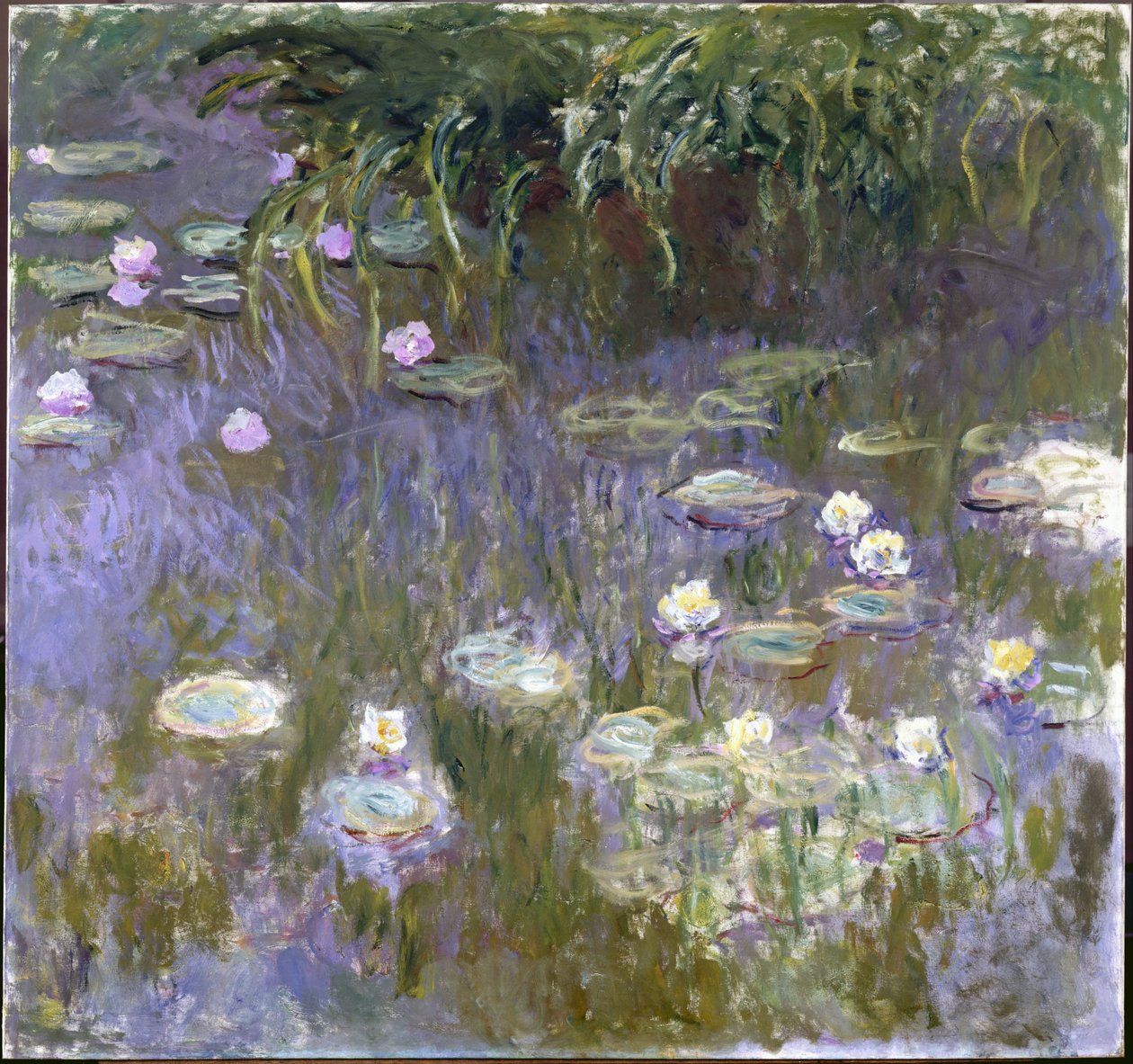 Nenúfares de Claude Monet