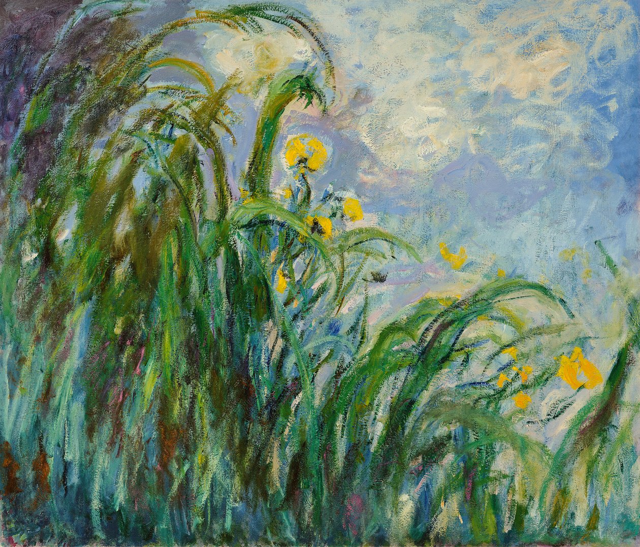Íris amarelas, c. 1925 de Claude Monet