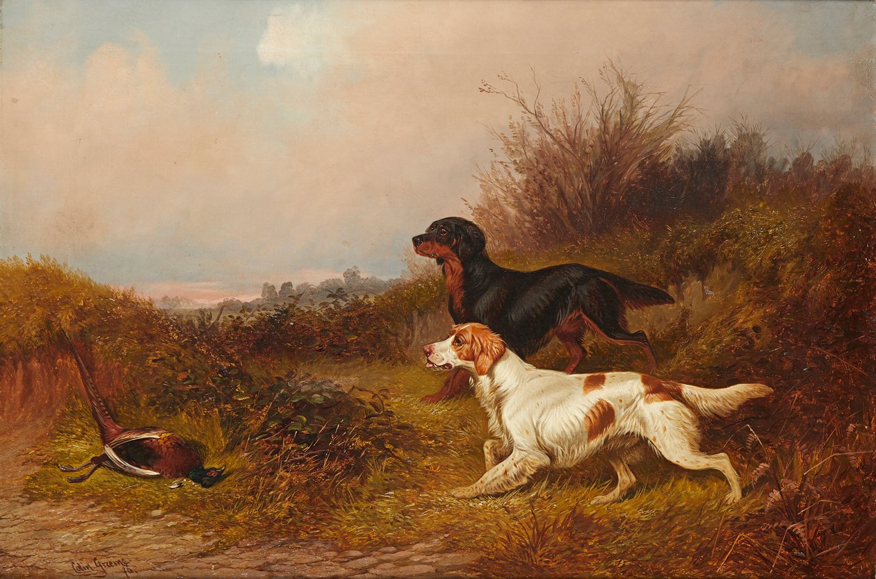 paisagem de Colin Graeme