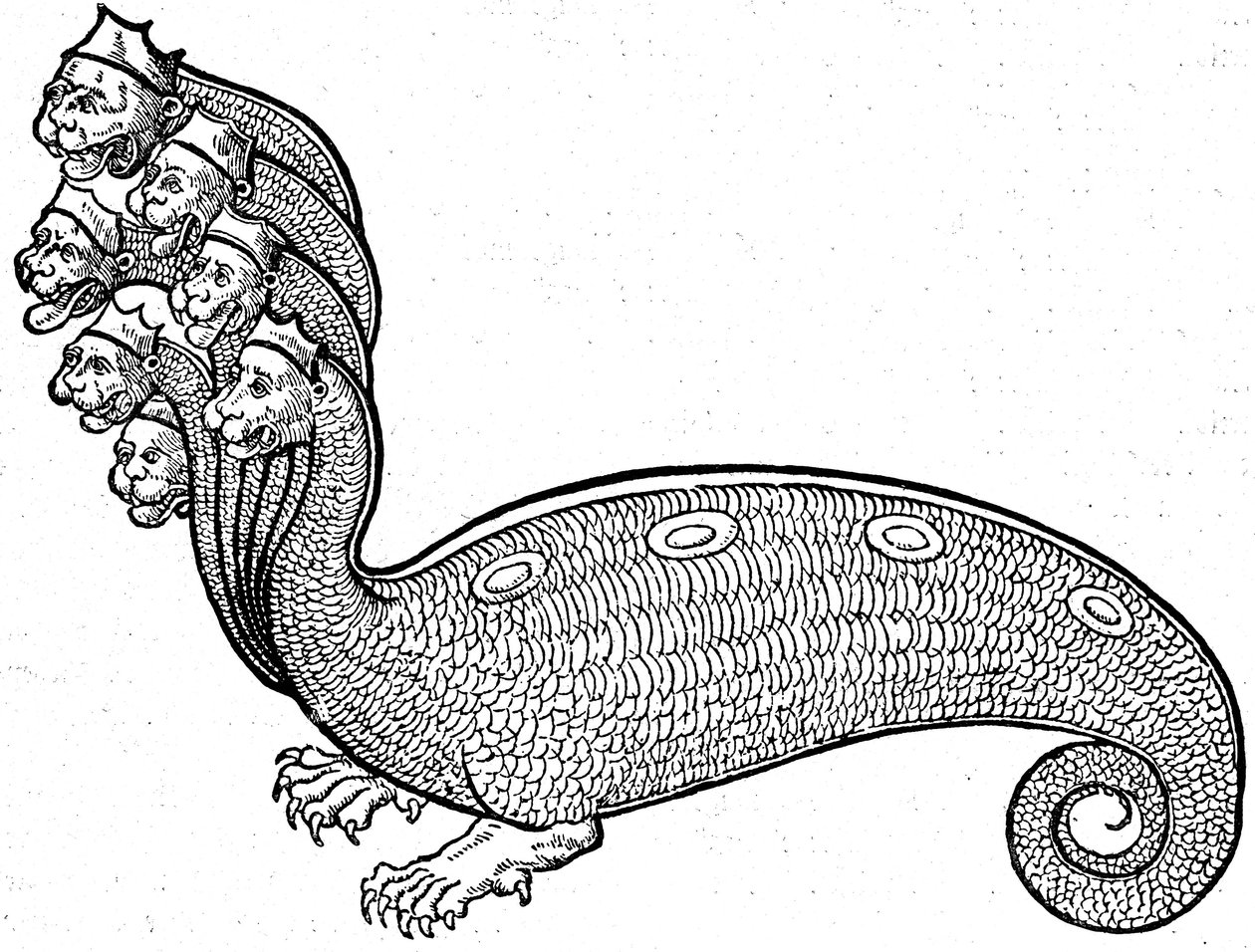 Hidra Monstro de Conrad (after) Gesner