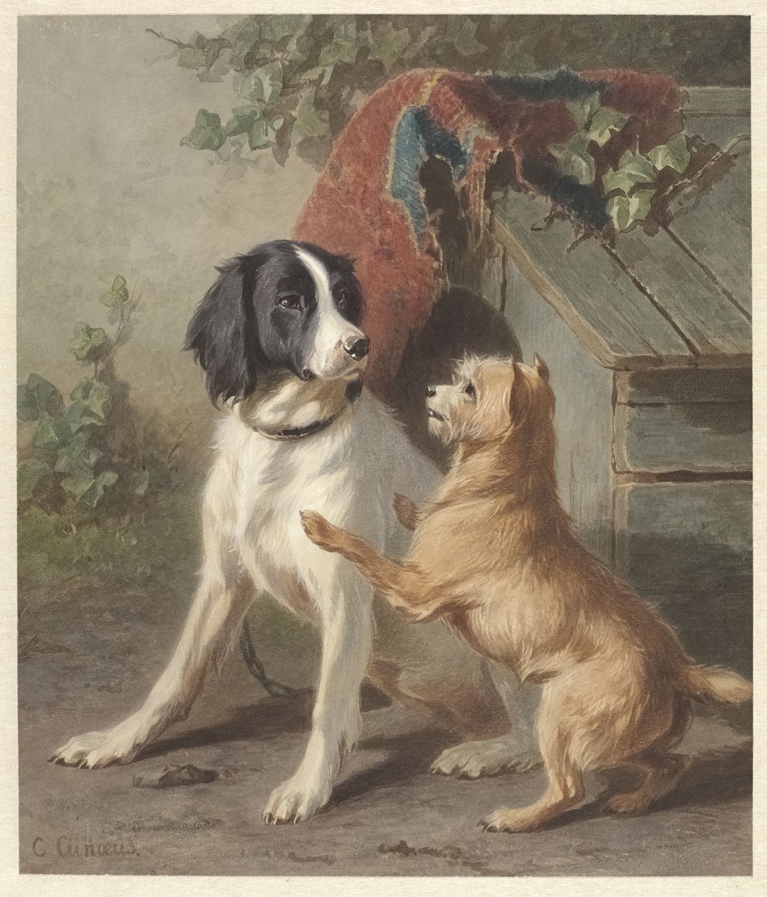 Dois cães a uma caneta de Conradijn Cunaeus