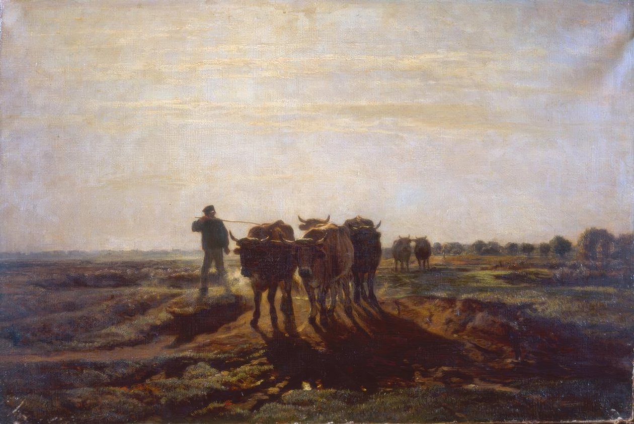 Paisagem plana com bois de Constant Troyon