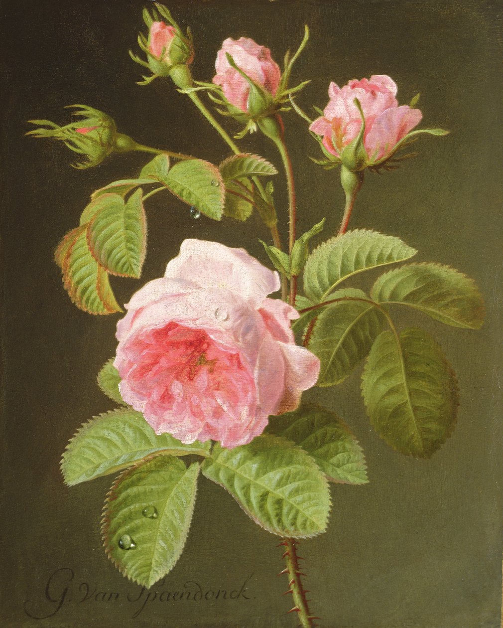 Um ramo de rosas de Cornelis van Spaendonck