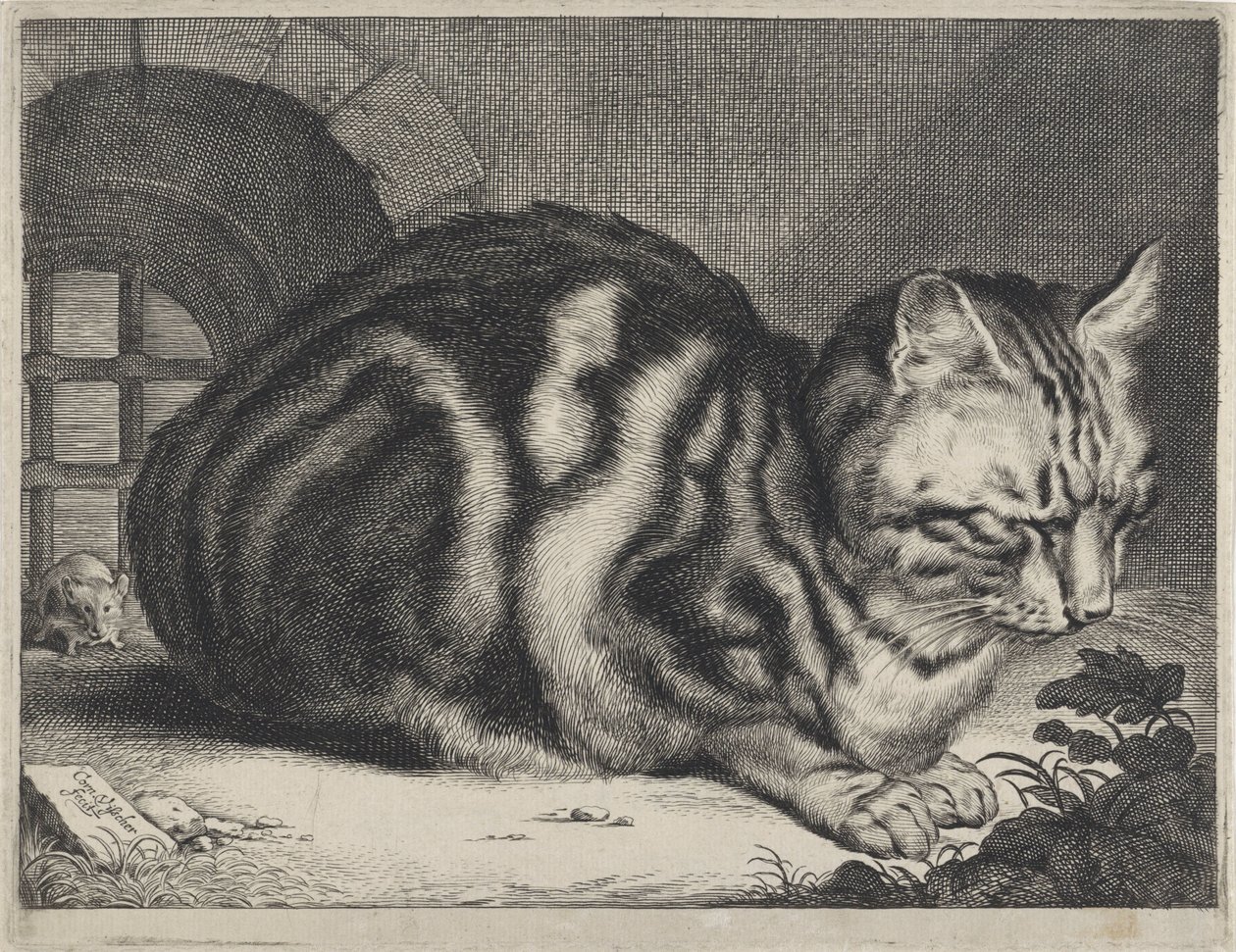 O grande gato de Cornelis Visscher (II)