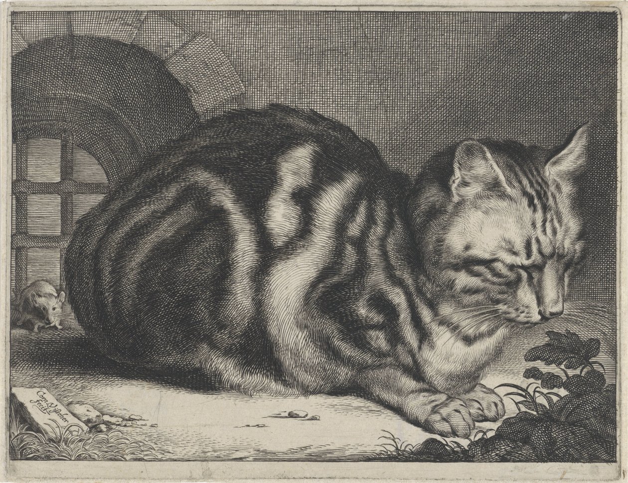 O grande gato de Cornelis Visscher (II)