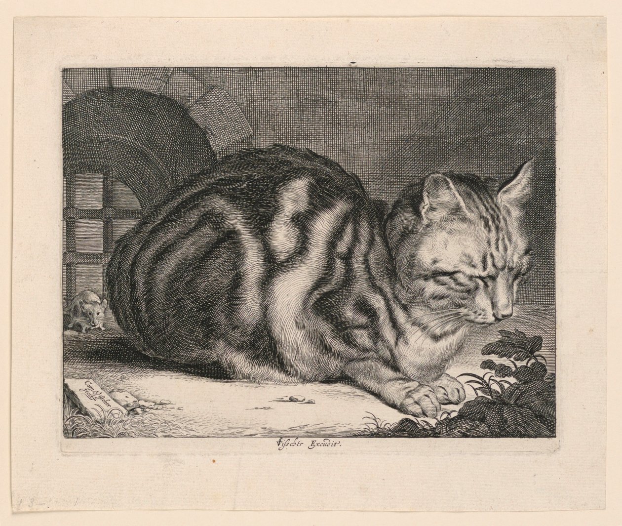 O grande gato de Cornelis Visscher