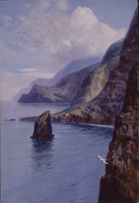 Molokai Bluffs, Havaí de D. Howard Hitchcock