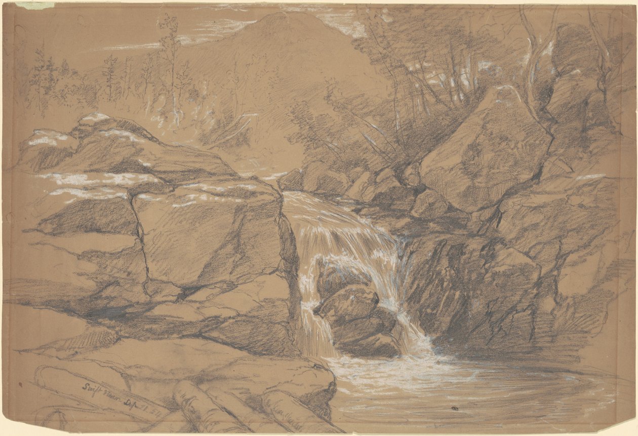 Swiftwater de Daniel Huntington