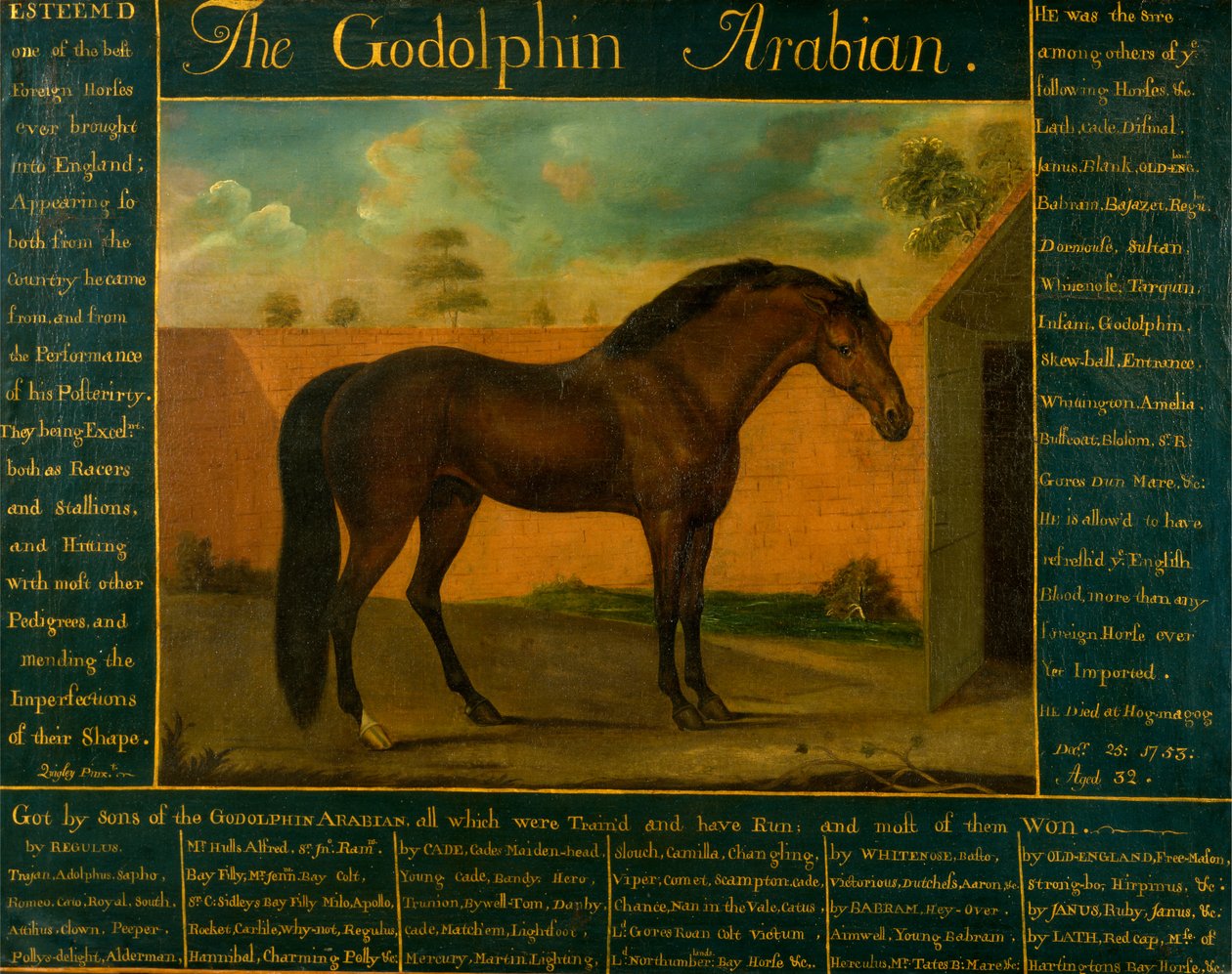 O Godolphin Arabian de Daniel Quigley