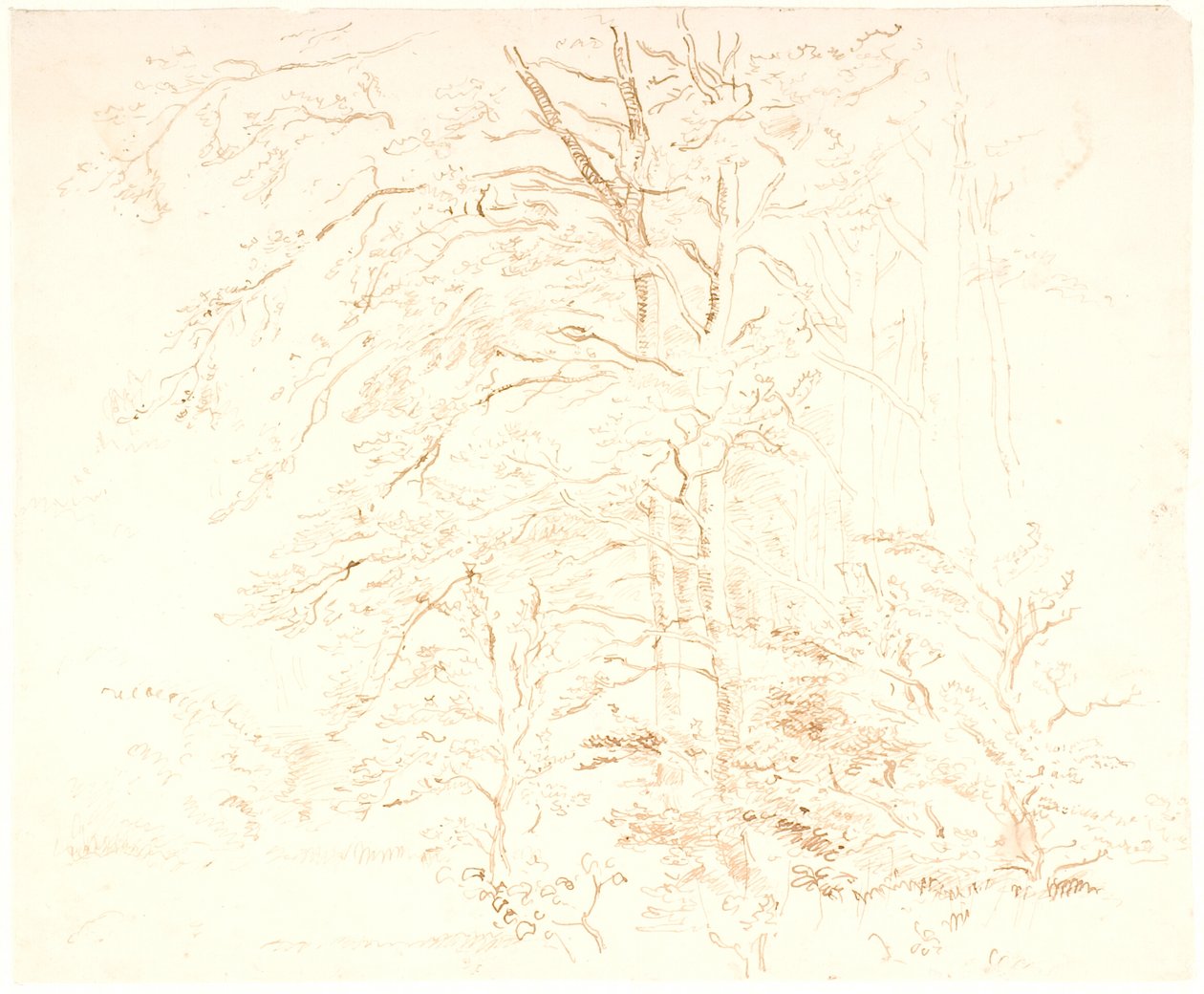 Estudos de madeira de Dankvart Dreyer