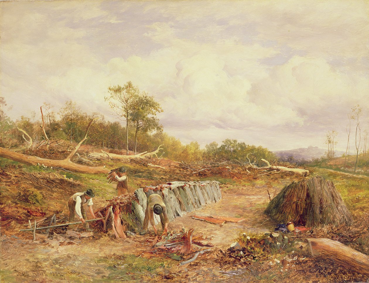 Empilhando a casca de carvalho de David Bates