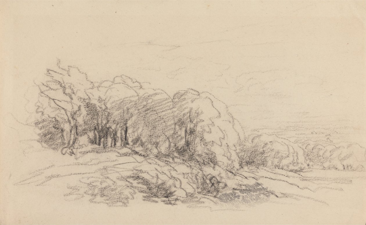 Paisagem com árvores de David Cox