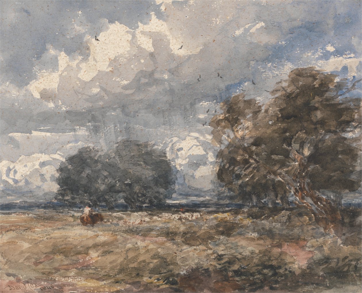Pastoreando o rebanho, dia ventoso de David Cox