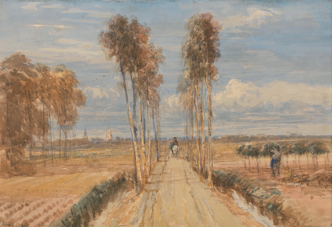 A Avenida Poplar, depois de Hobbema de David Cox
