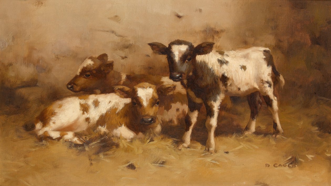 Três, bezerros, em, um, celeiro de David Gauld