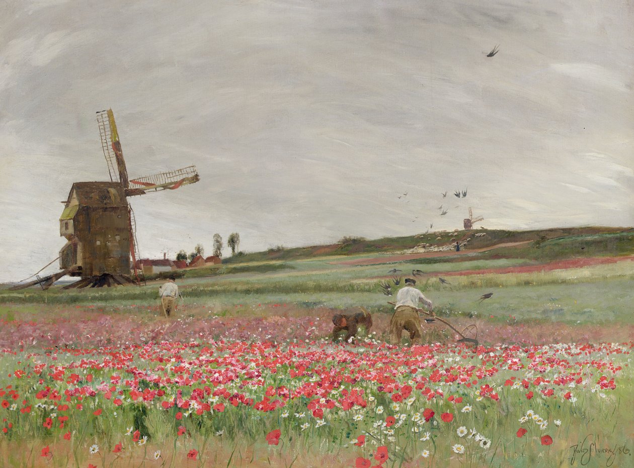 Campo de papoulas, 1886 de David Murray