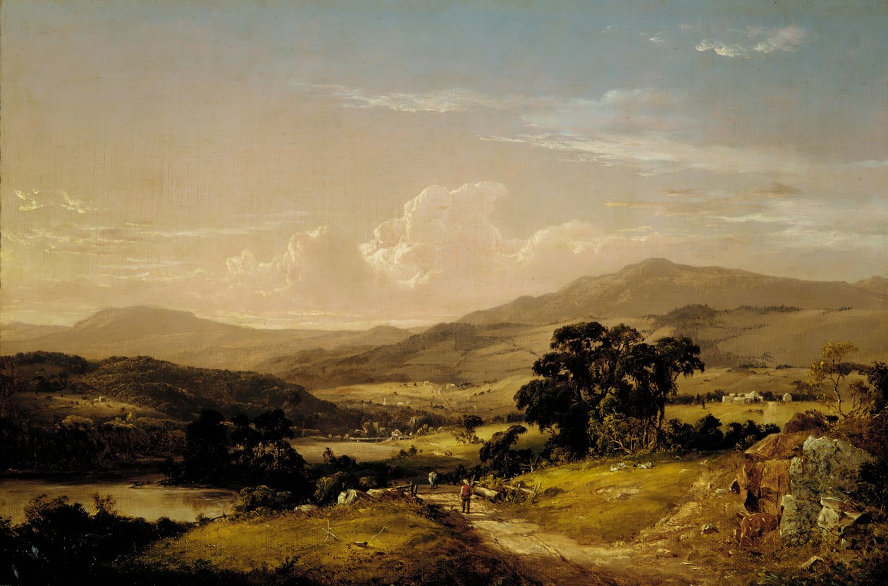 Floresta. de David Johnson