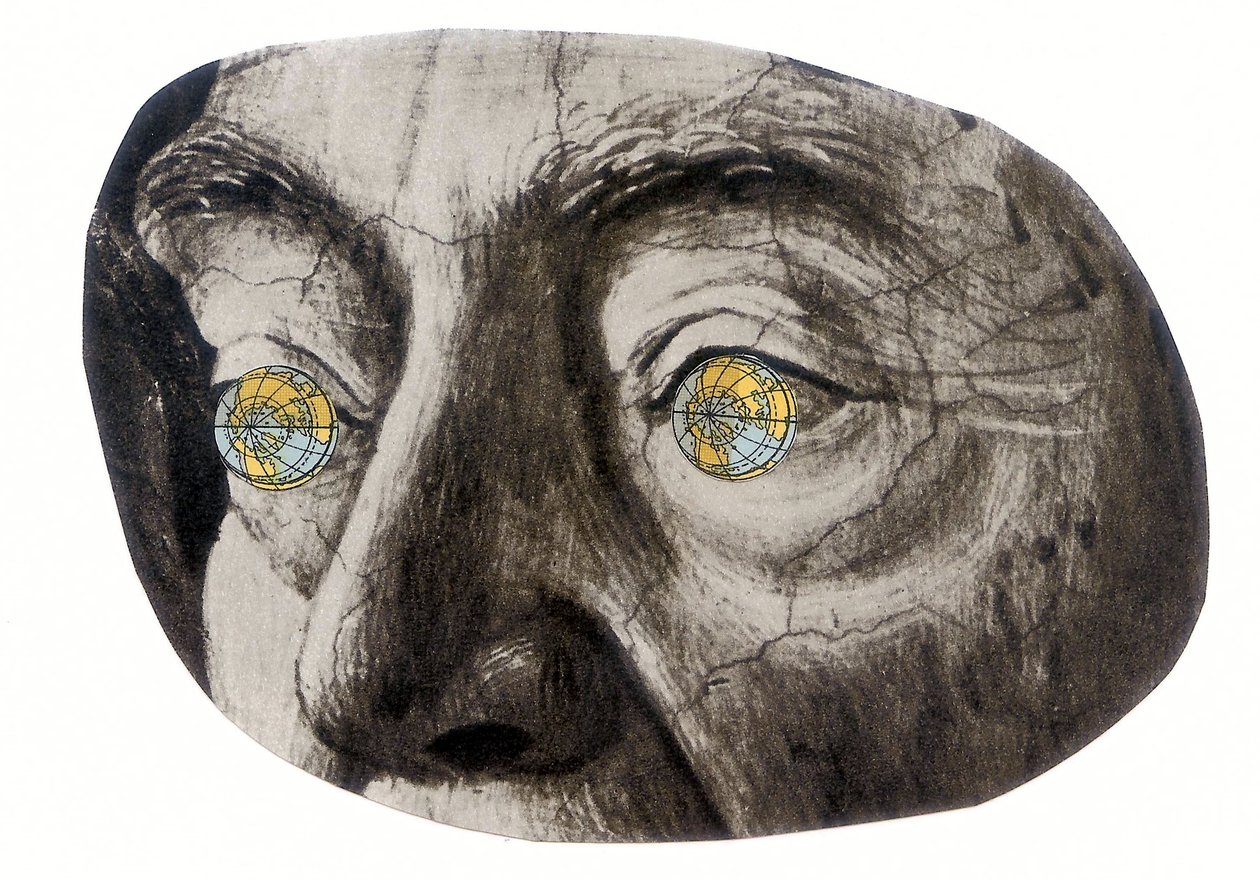 Globe eyes, 2016 (colagem) de Deirdre Kelly