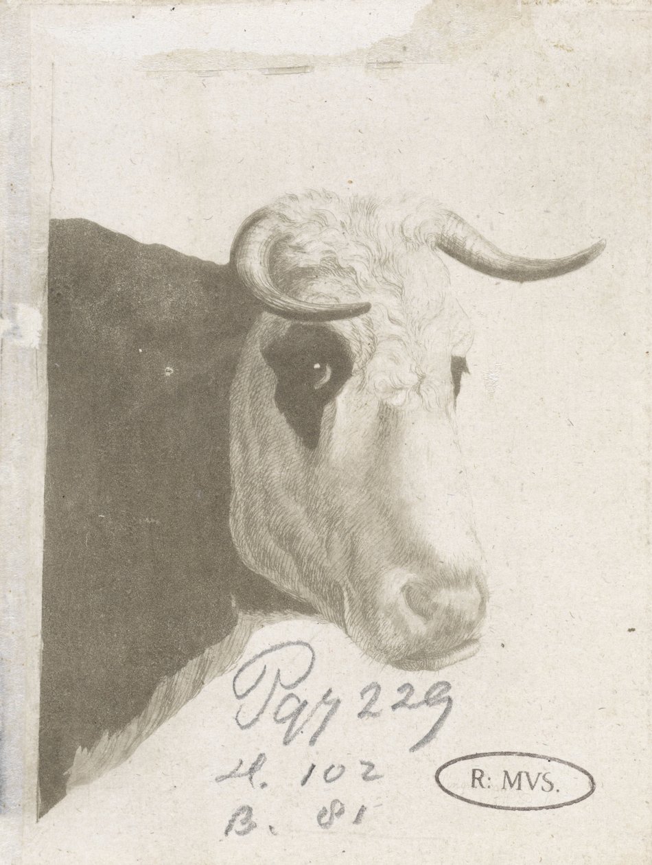 Cucu de Diederik Jan Singendonck