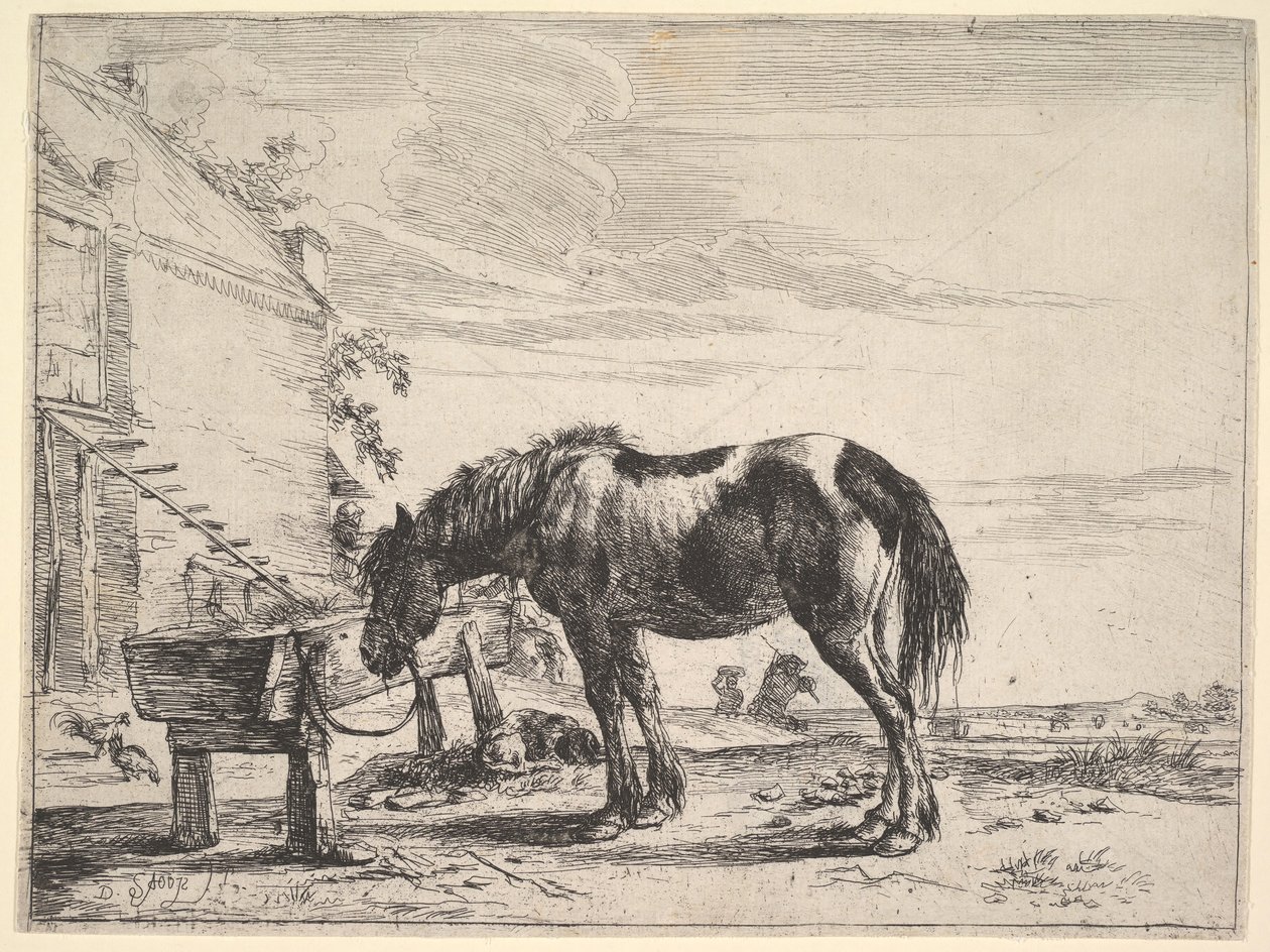 Floresta. de Dirck Stoop