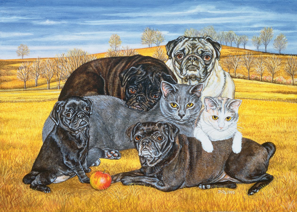 Hocking County Pug-Cats, 1995 de Ditz