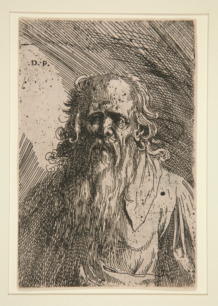 Velho com barba de Domenico Piola