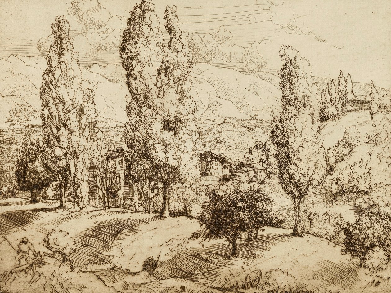 Campos de Asolo de Donald Shaw MacLaughlan