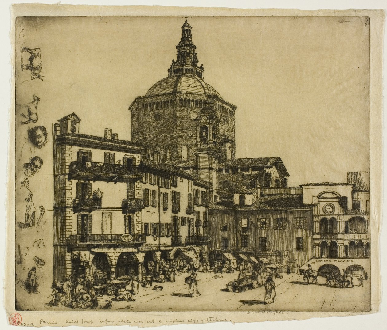 Pavia de Donald Shaw MacLaughlan