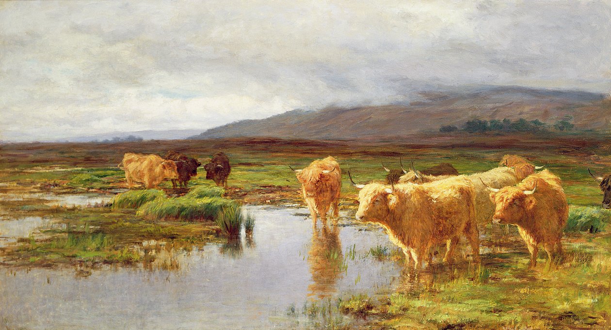 Moorlands e Mist de Duncan McLaurin