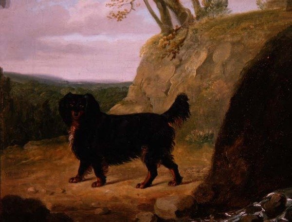 Um Cocker Spaniel na Paisagem de E.W. Gill