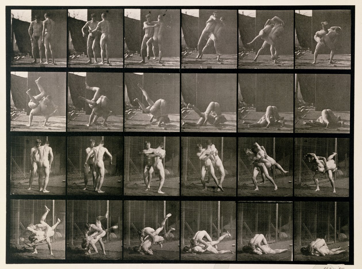 Dois Homens Wrestling, placa 348 de &39;Animal Locomotion&39;, 1887 de Eadweard Muybridge