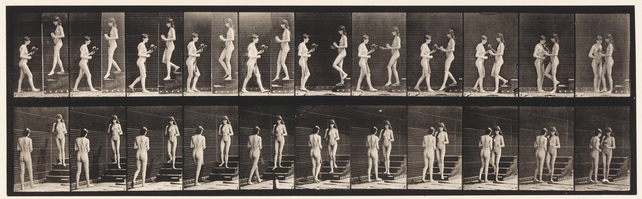 Placa 448. Dois modelos de Eadweard Muybridge