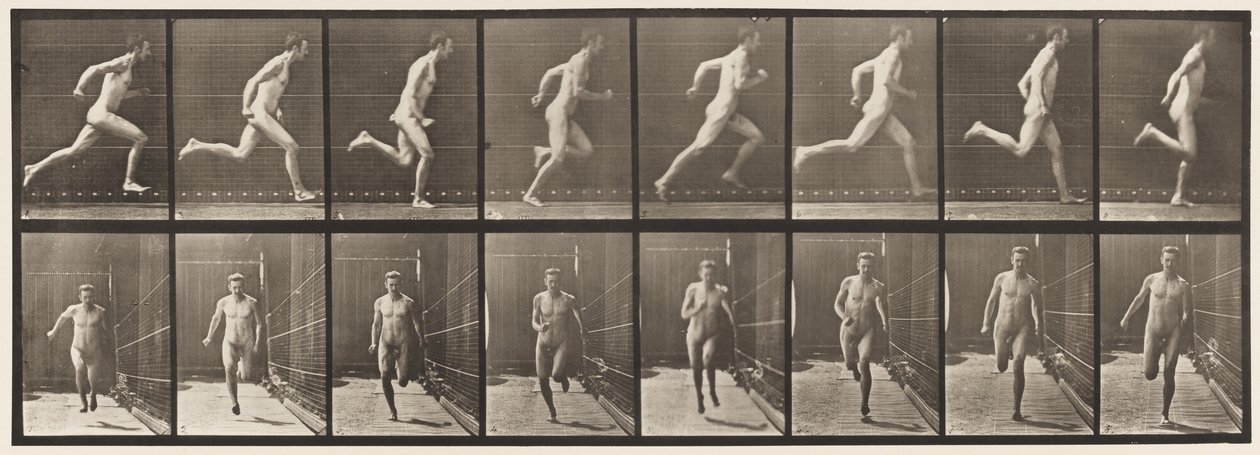 Placa 67. Corrida, 1872-1885 de Eadweard Muybridge