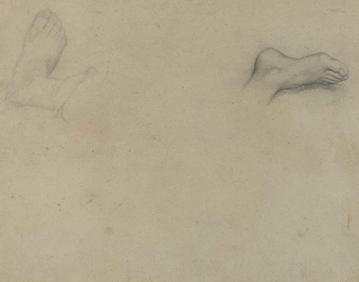 Floresta. de Edgar Degas