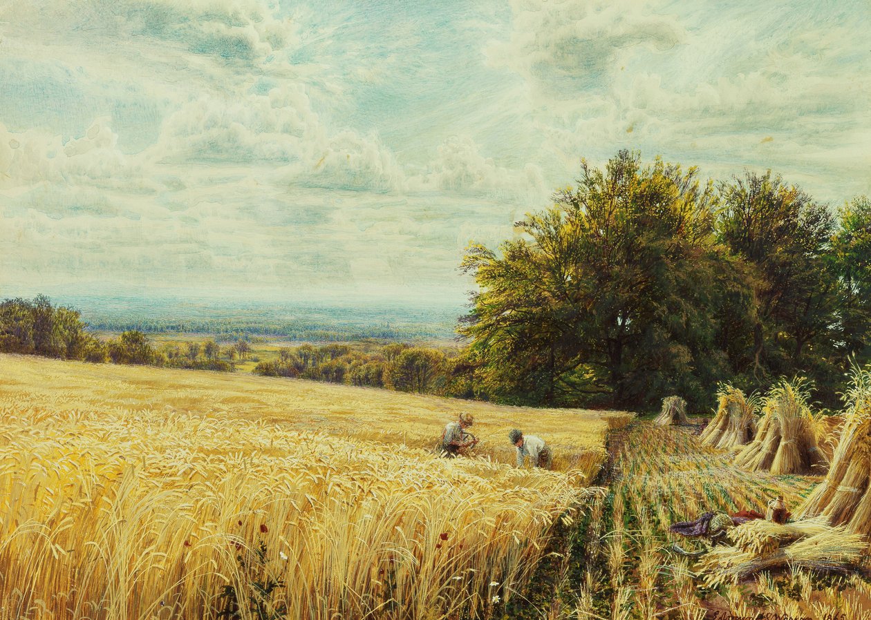 Os Harvesters, 1865 de Edmund George Warren
