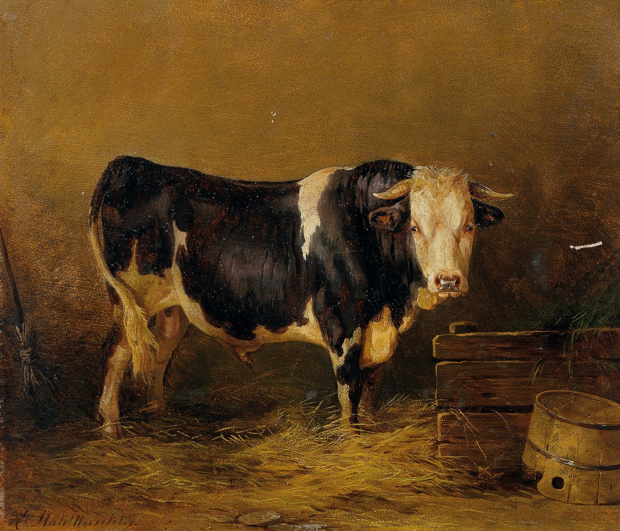 touro no estábulo de Edmund Mahlknecht