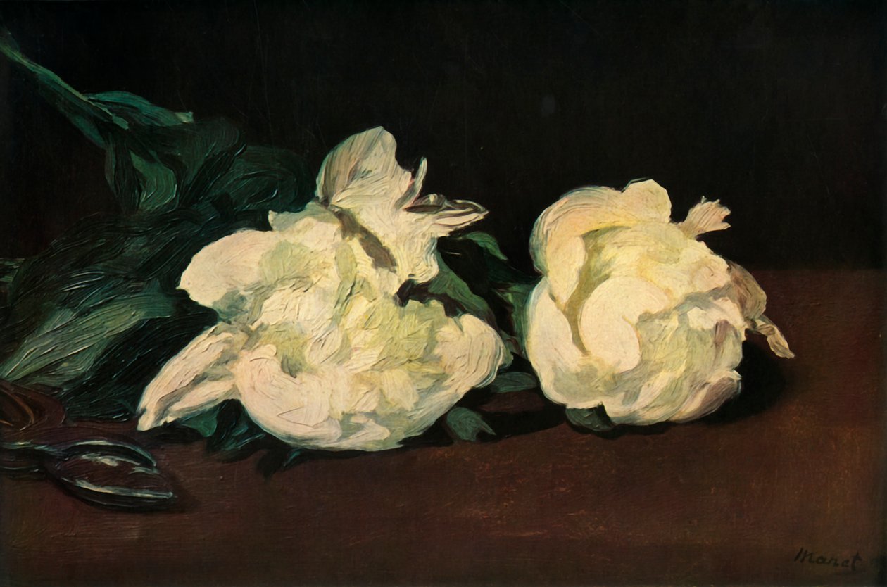 Peônias Brancas, 1864, 1937. de Édouard Manet