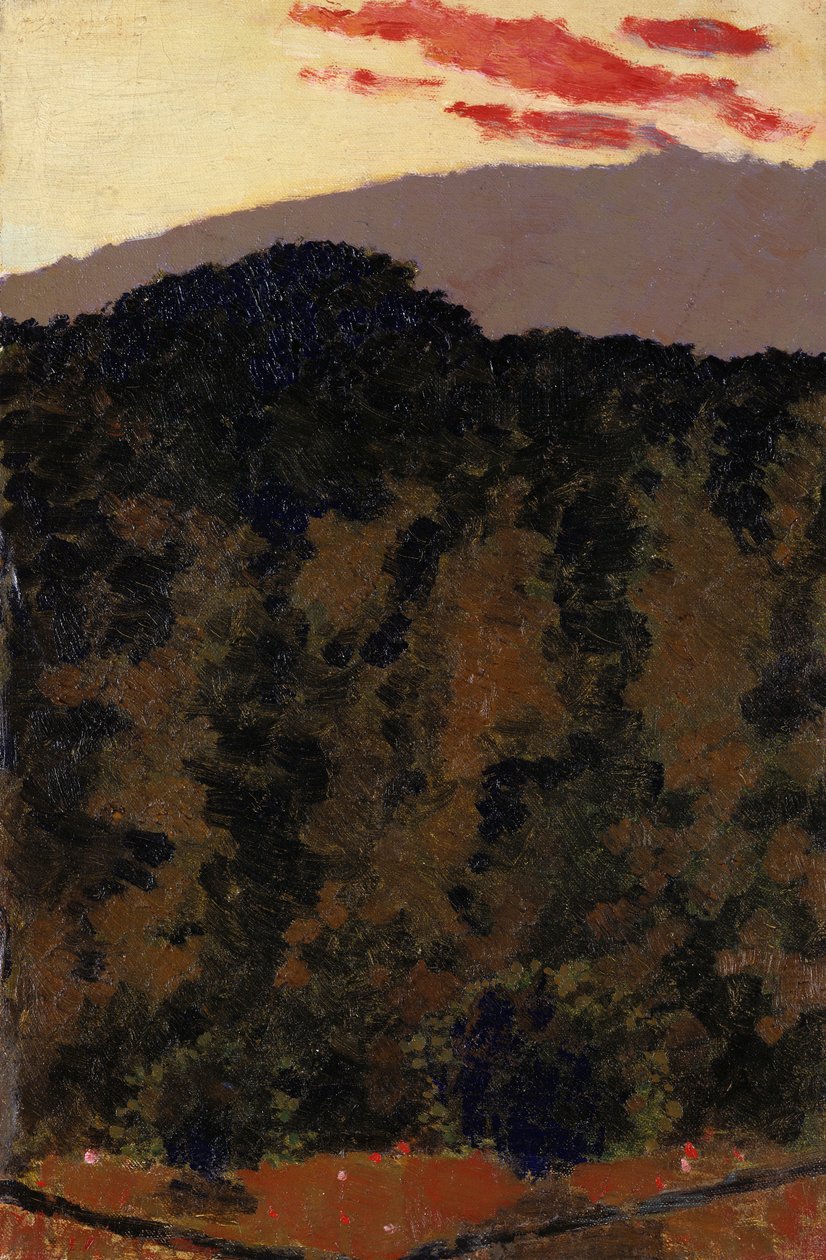 Paisagem, c.1900 de Edouard Vuillard