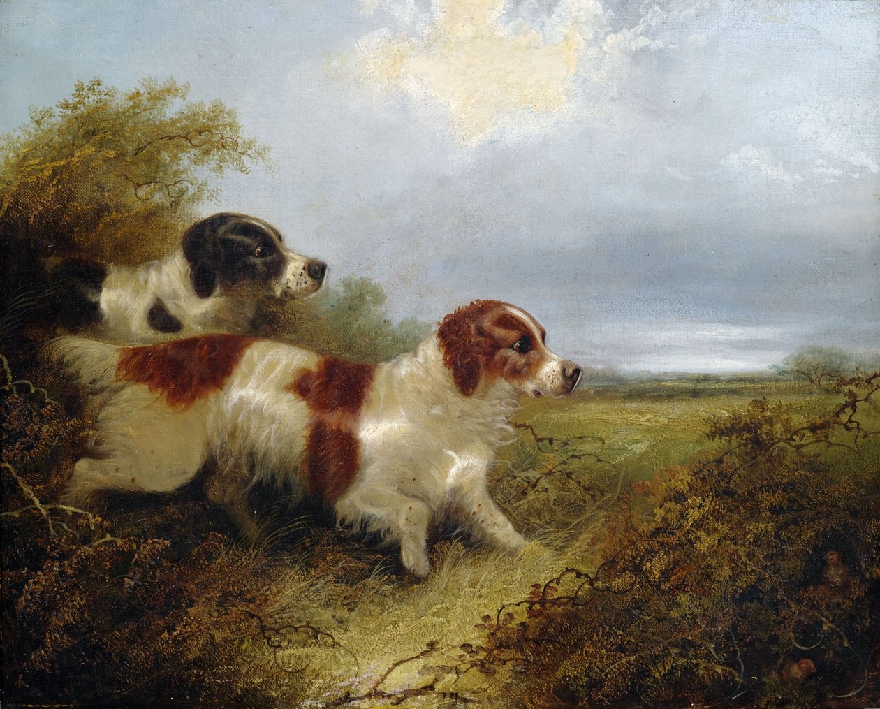 Dois terriers de Edward Armfield