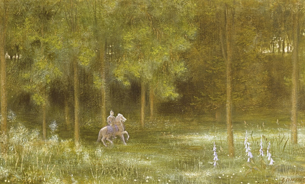 Cavaleiro em uma paisagem de Edward Clifford