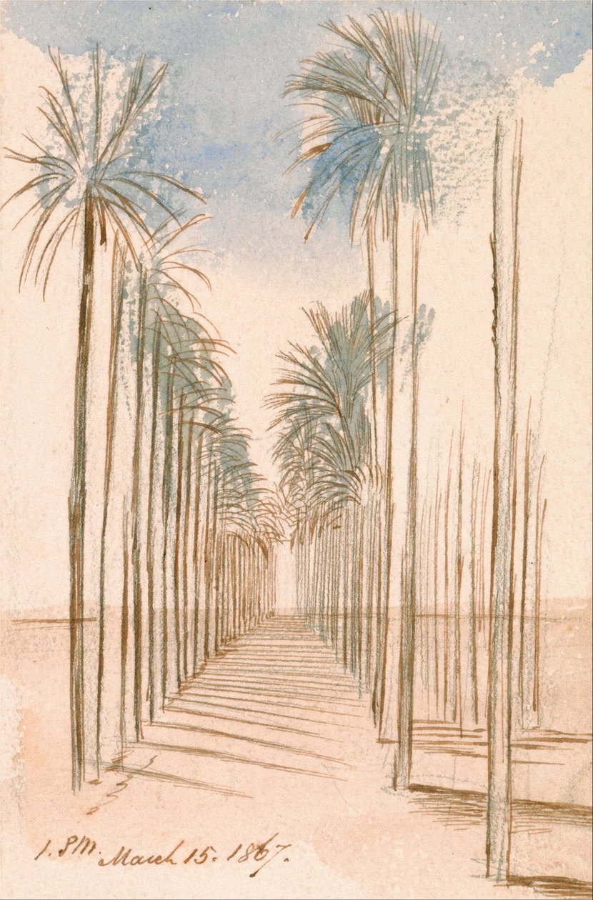 Avenida das Árvores de Edward Lear