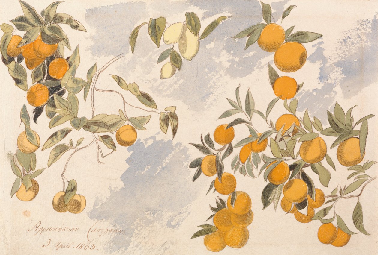 Fruteiras, 3 de abril de 1863 de Edward Lear