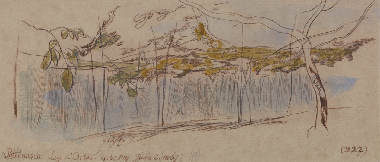Pettenasco, lago dOrta de Edward Lear