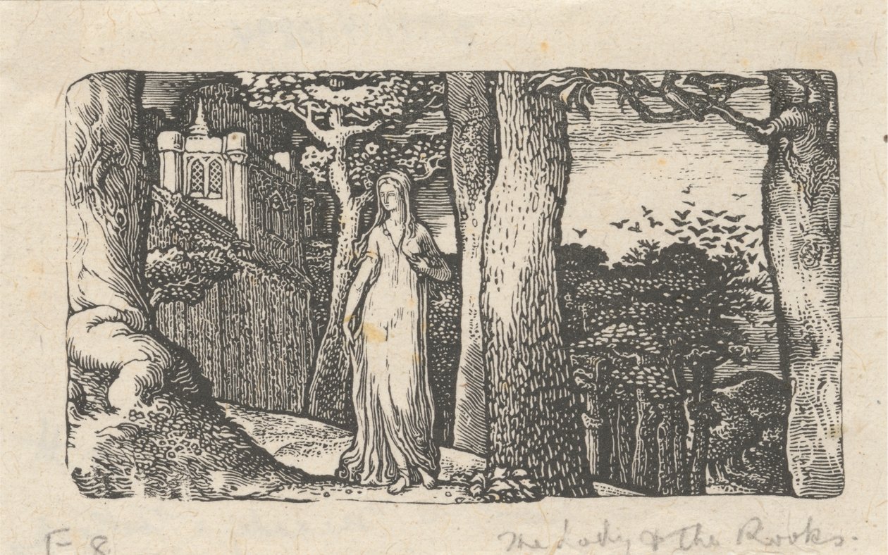 A Senhora e os Rooks de Edward Calvert