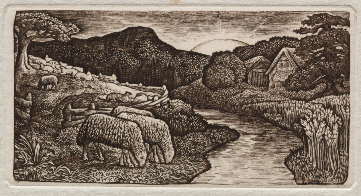 As ovelhas do seu pasto de Edward Calvert