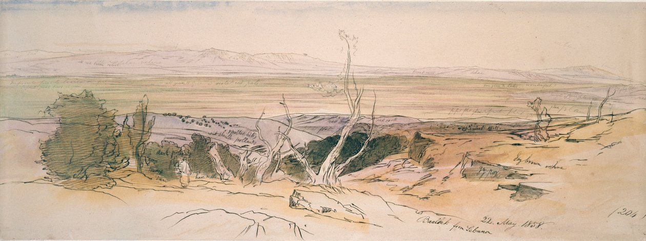 Floresta. de Edward Lear