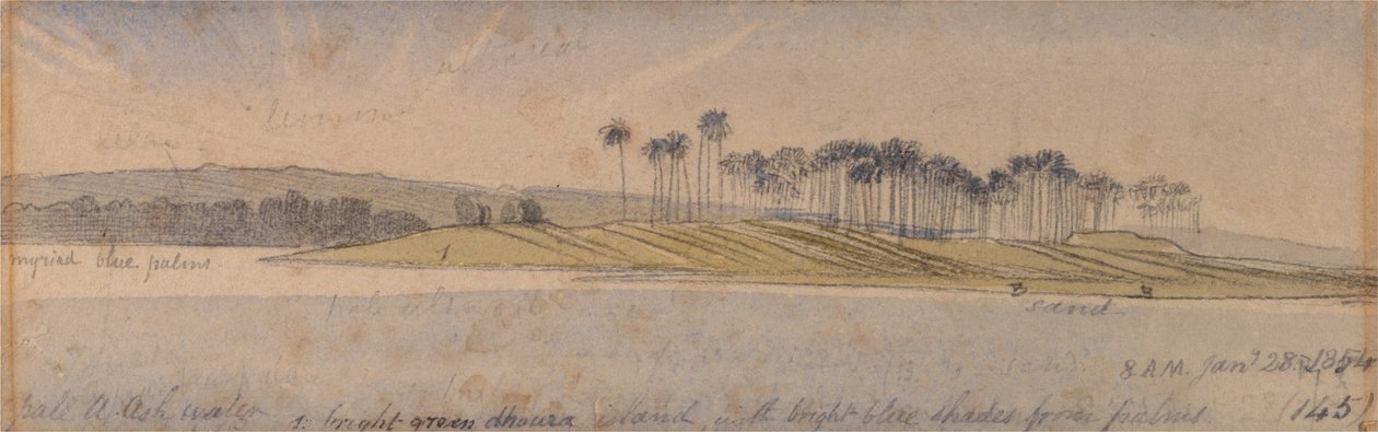 Ilha de Dhoura de Edward Lear
