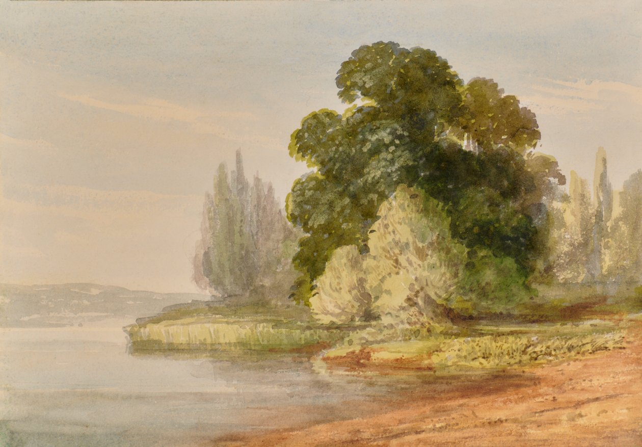 paisagem com árvores de Edward Pretty